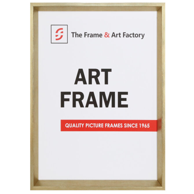 Gold Certificate Frame Modern