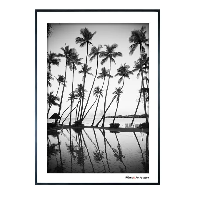 Thin Metal Frame Black