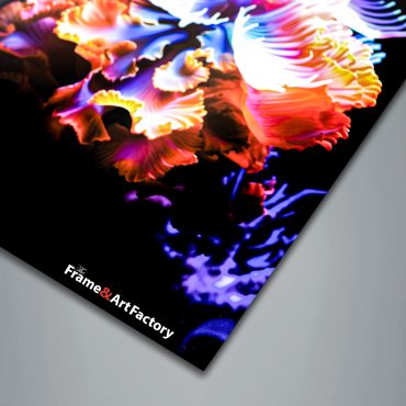 Pearl Lustre Photo Paper