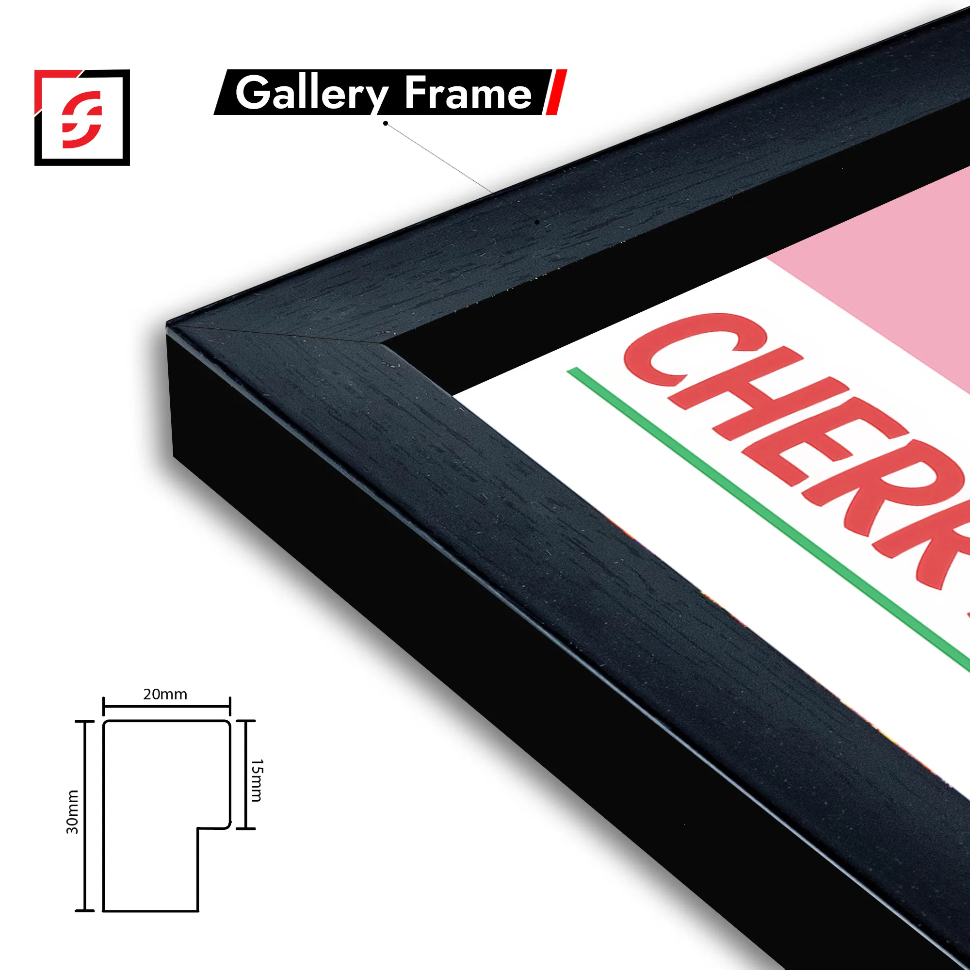 Framed Canvas Art Prints